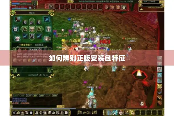 如何辨别正版安装包特征 如何辨别正版安装包特征