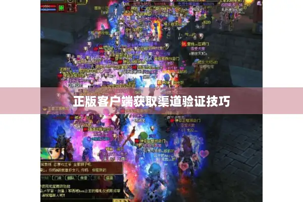 正版客户端获取渠道验证技巧