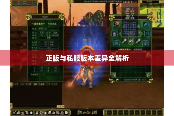 正版与私服版本差异全解析 正版与私服版本差异全解析