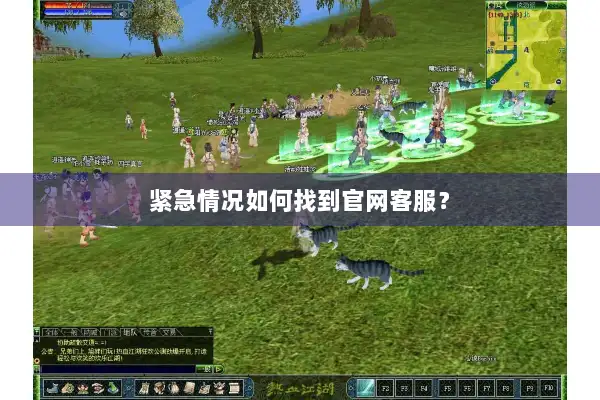 紧急情况如何找到官网客服？