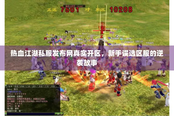 热血江湖私服发布网真实开区，新手误选区服的逆袭故事