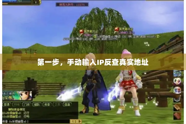 第一步，手动输入IP反查真实地址