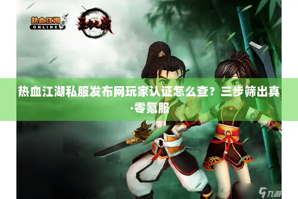 热血江湖私服发布网玩家认证怎么查？三步筛出真·零氪服