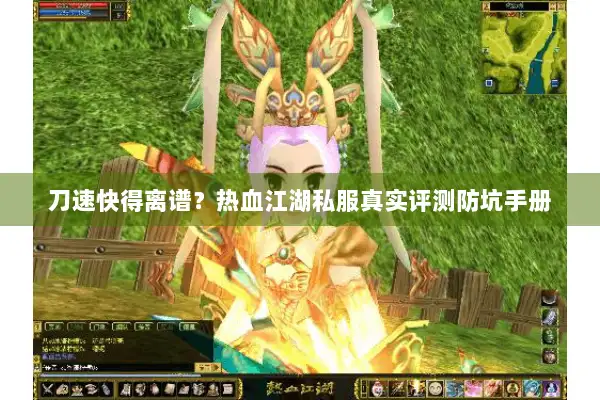 刀速快得离谱？热血江湖私服真实评测防坑手册