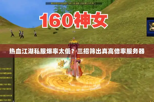 热血江湖私服爆率太低？三招筛出真高倍率服务器