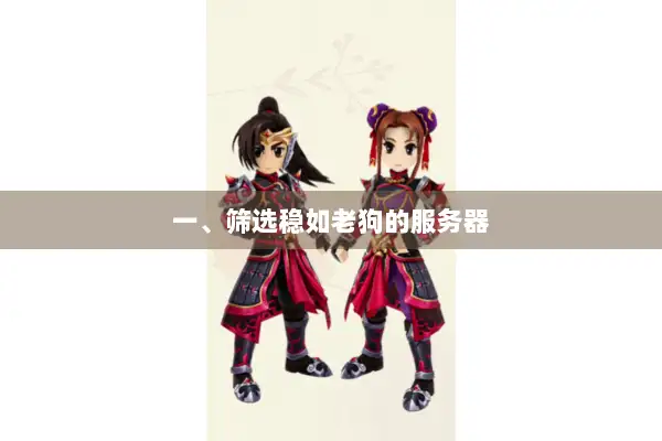 一、筛选稳如老狗的服务器