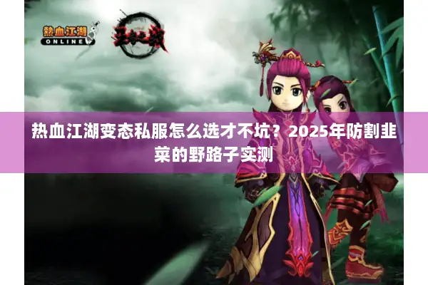 热血江湖变态私服怎么选才不坑？2025年防割韭菜的野路子实测