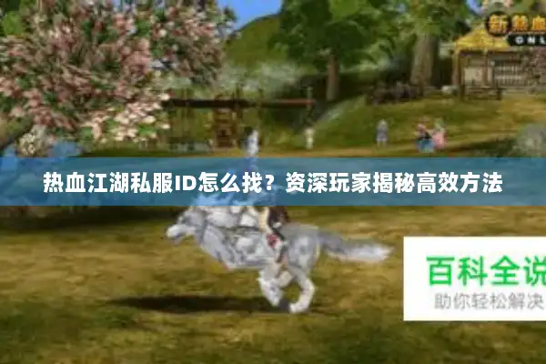 热血江湖私服ID怎么找？资深玩家揭秘高效方法