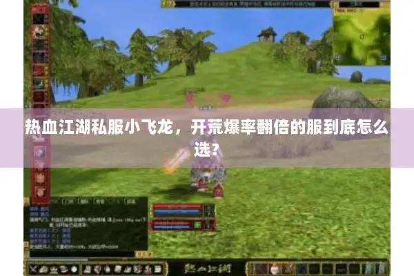 热血江湖私服小飞龙，开荒爆率翻倍的服到底怎么选？