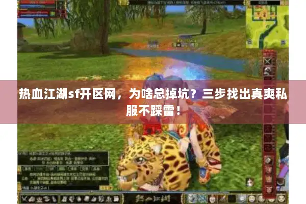 热血江湖sf开区网，为啥总掉坑？三步找出真爽私服不踩雷！