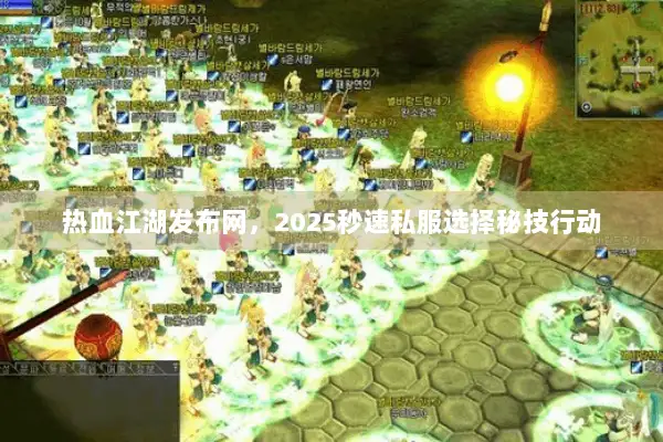 热血江湖发布网，2025秒速私服选择秘技行动