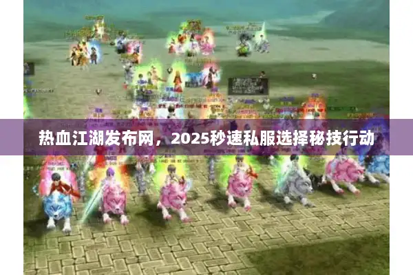 热血江湖发布网，2025秒速私服选择秘技行动