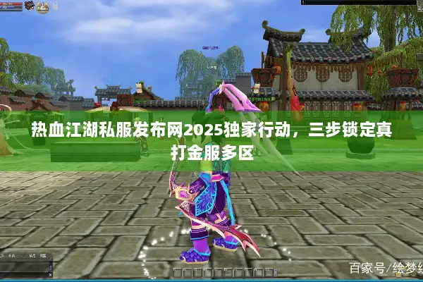 热血江湖私服发布网2025独家行动，三步锁定真打金服多区