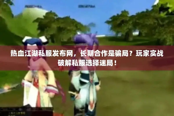 热血江湖私服发布网，长期合作是骗局？玩家实战破解私服选择迷局！