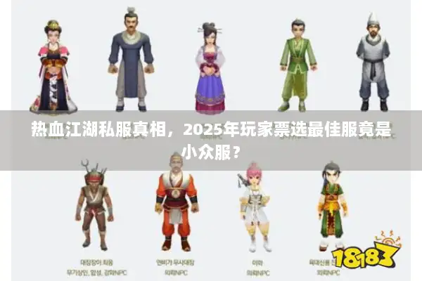热血江湖私服真相，2025年玩家票选最佳服竟是小众服？