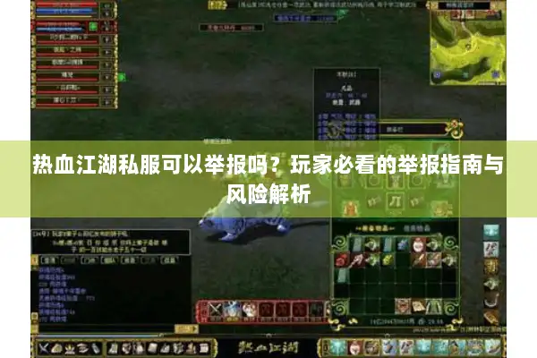 热血江湖私服可以举报吗？玩家必看的举报指南与风险解析