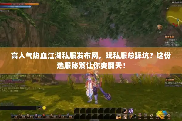 高人气热血江湖私服发布网，玩私服总踩坑？这份选服秘笈让你爽翻天！