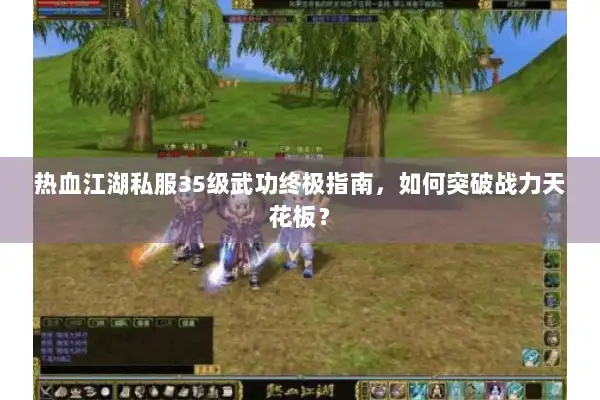 热血江湖私服35级武功终极指南，如何突破战力天花板？