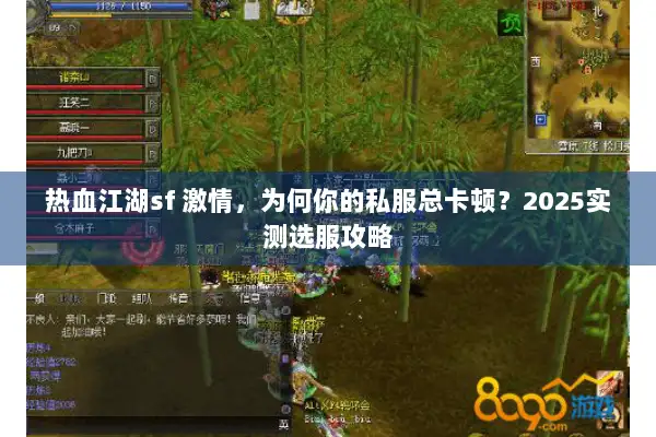 热血江湖sf 激情，为何你的私服总卡顿？2025实测选服攻略