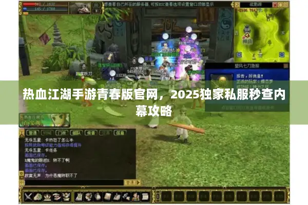 热血江湖手游青春版官网，2025独家私服秒查内幕攻略