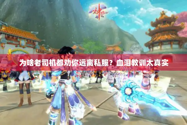 为啥老司机都劝你远离私服？血泪教训太真实