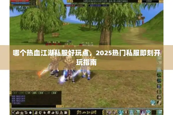 哪个热血江湖私服好玩点，2025热门私服即刻开玩指南