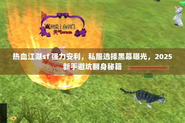 热血江湖sf 强力安利，私服选择黑幕曝光，2025新手避坑翻身秘籍