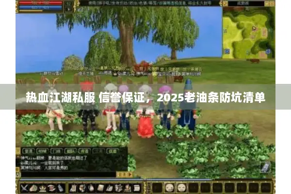 热血江湖私服 信誉保证，2025老油条防坑清单