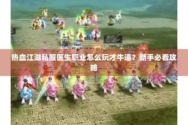 热血江湖私服医生职业怎么玩才牛逼？新手必看攻略