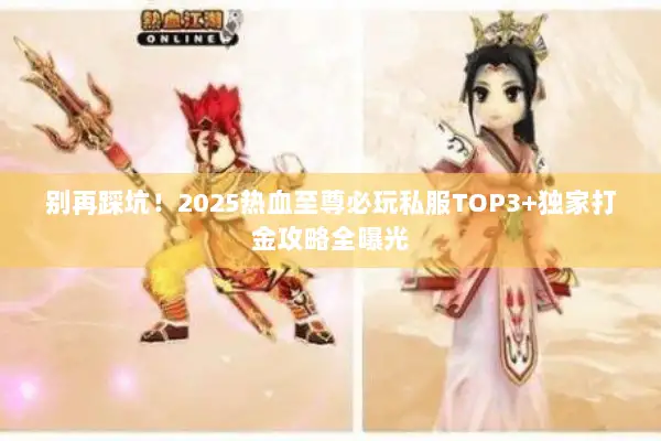 别再踩坑！2025热血至尊必玩私服TOP3+独家打金攻略全曝光