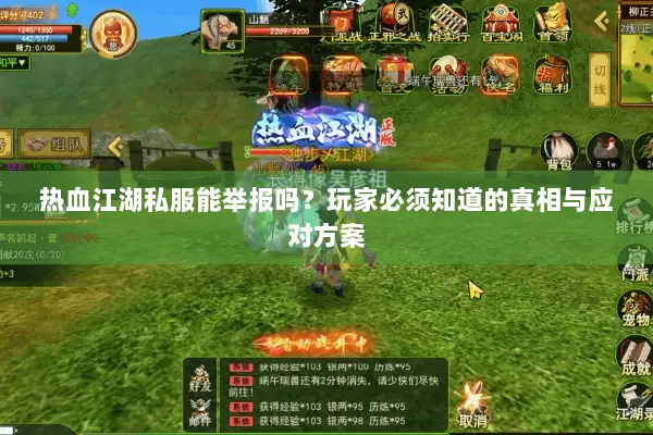 热血江湖私服能举报吗？玩家必须知道的真相与应对方案