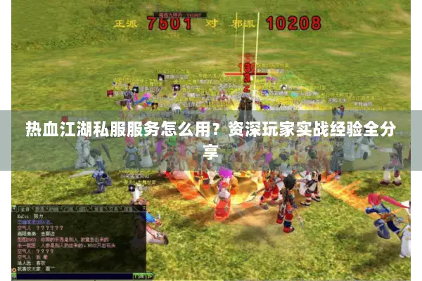 热血江湖私服服务怎么用？资深玩家实战经验全分享