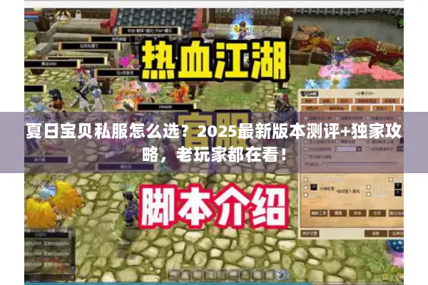 夏日宝贝私服怎么选？2025最新版本测评+独家攻略，老玩家都在看！