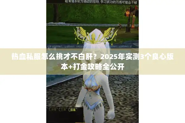 热血私服怎么挑才不白肝?2025年实测3个良心版本+打金攻略全公开 热血私服怎么挑才不白肝?2025年实测3个良心版本+打金攻略全公开