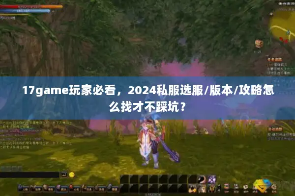 17game玩家必看，2024私服选服/版本/攻略怎么找才不踩坑？