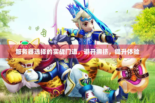 服务器选择的实战门道，避开拥挤，提升体验