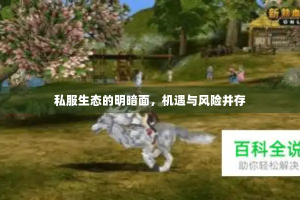 私服生态的明暗面，机遇与风险并存