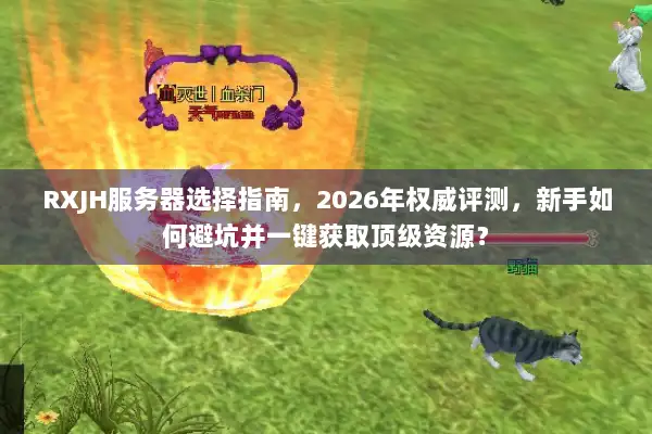 RXJH服务器选择指南，2026年权威评测，新手如何避坑并一键获取顶级资源？