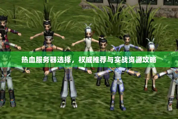 热血服务器选择,权威推荐与实战资源攻略 热血服务器选择,权威推荐与实战资源攻略