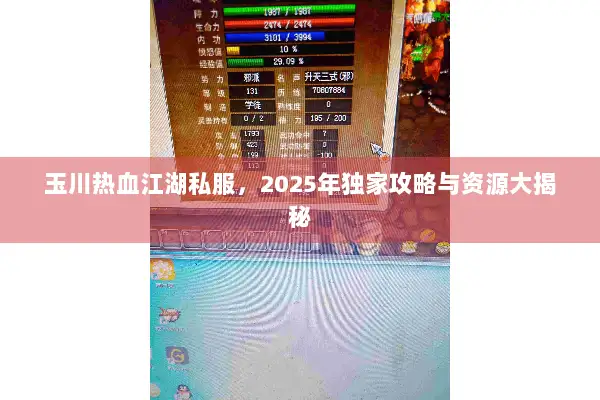 玉川热血江湖私服，2025年独家攻略与资源大揭秘