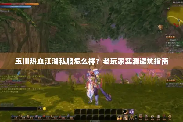玉川热血江湖私服怎么样？老玩家实测避坑指南