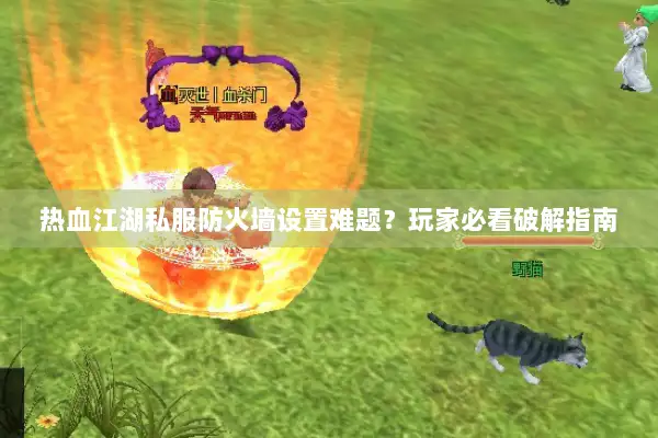 热血江湖私服防火墙设置难题？玩家必看破解指南