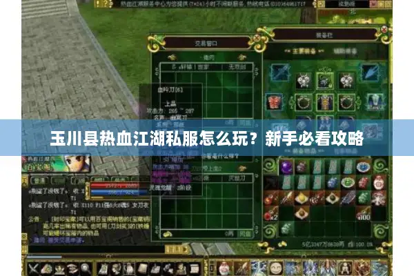 玉川县热血江湖私服怎么玩？新手必看攻略
