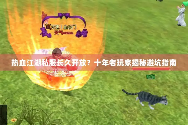 热血江湖私服长久开放？十年老玩家揭秘避坑指南
