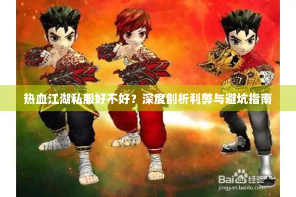 热血江湖私服好不好？深度剖析利弊与避坑指南