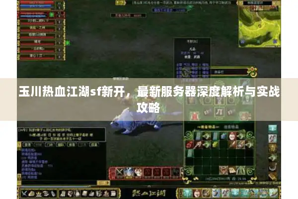 玉川热血江湖sf新开，最新服务器深度解析与实战攻略