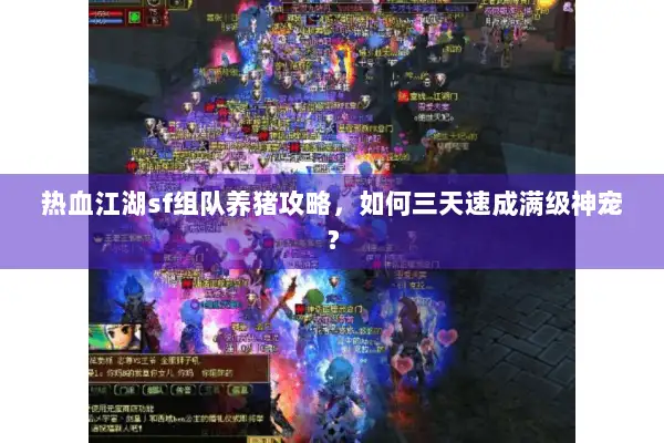 热血江湖sf组队养猪攻略,如何三天速成满级神宠? 热血江湖sf组队养猪攻略,如何三天速成满级神宠?