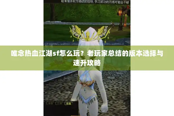 唯念热血江湖sf怎么玩？老玩家总结的版本选择与速升攻略
