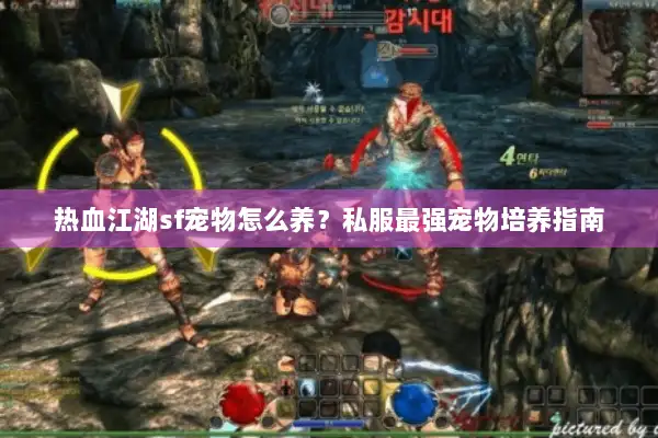 热血江湖sf宠物怎么养？私服最强宠物培养指南