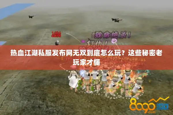 热血江湖私服发布网无双到底怎么玩？这些秘密老玩家才懂